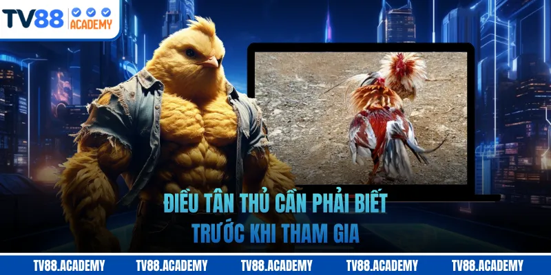 Điều tân thủ cần phải biết trước khi tham gia